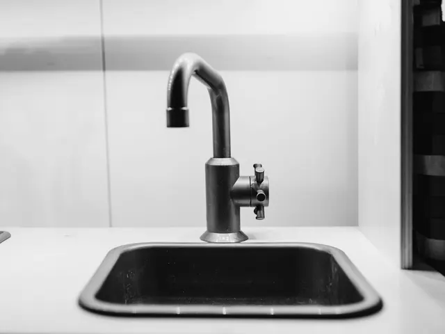 A stainless steel kitchen faucet and sink